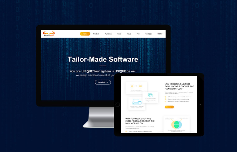 taurussoft国际版网站建设